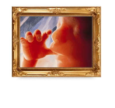 Abortion Stop killing Babies